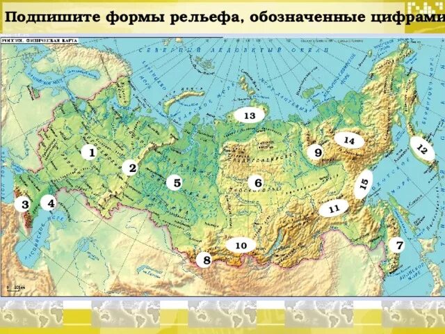 Выписать название форм рельефа россии. Карта России с равнинами и плоскогорьями и горами. Равнины Плоскогорья низменности на карте России. Равнины низменности горы и Плоскогорья России на карте. Крупные равнины на территории России.