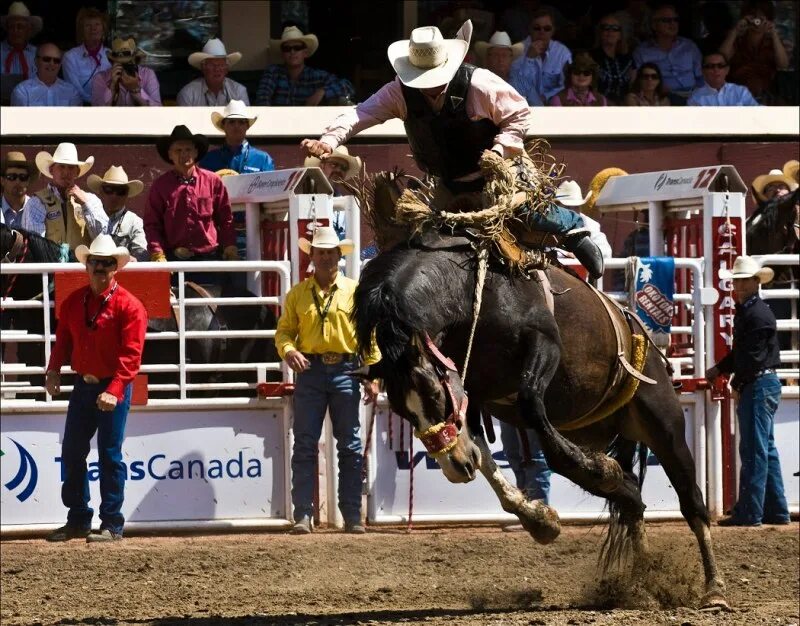 Rodeo speed