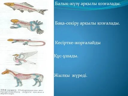Жеке дымқыл кискалардың порнофотосуреттері