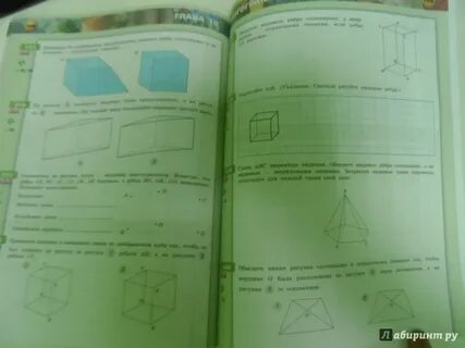 Математика геометрия 5