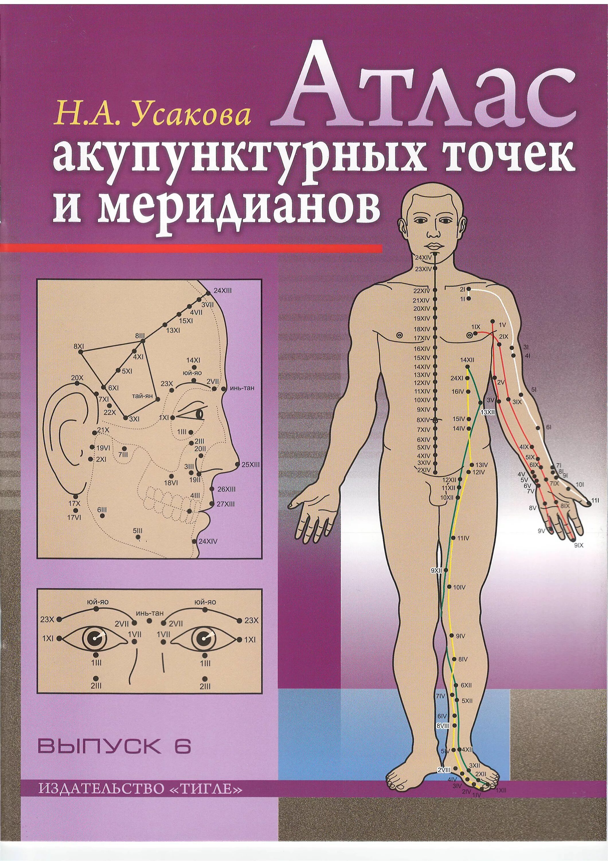 Названия точек человека. Акупунктура тела человека атлас. Меридианы человека атлас акупунктурных точек. Усакова атлас точек. Акупунктурные точки на теле человека атлас.