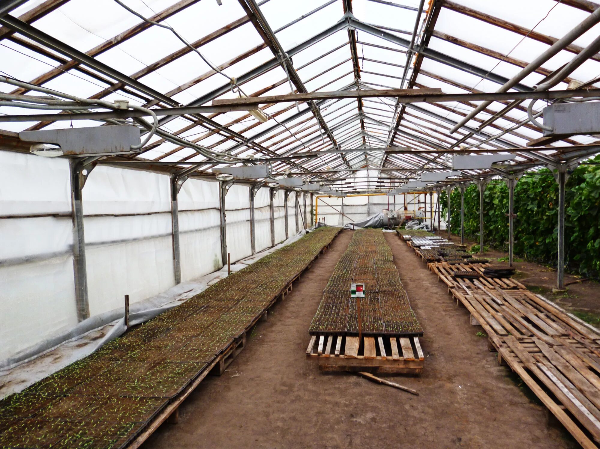 теплица в боброве воронежской области. бобров воронежская область тепличный комплекс. тепличный комплекс в боброве. тепличный комбинат «воронежский» агроном. тепличный комплекс воронежский.