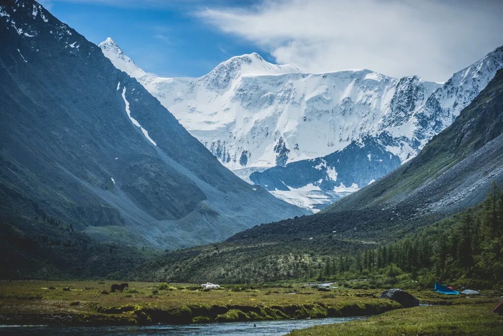 Какие есть горные. Белуха горный Алтай. Гора Белуха Казахстан. Белуха гора высота. Алтайский заповедник вершина Белуха.