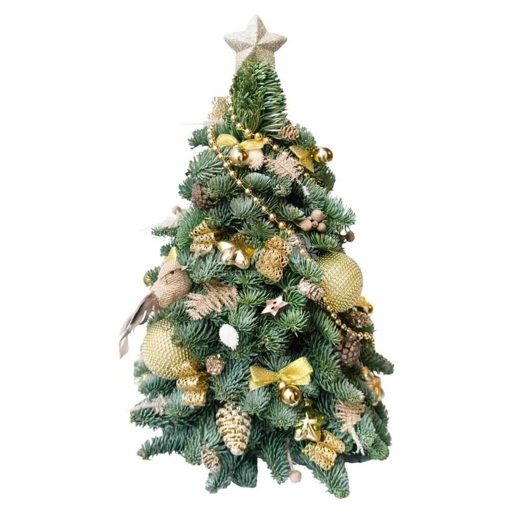 Золотая елка купить. Рождественский букет Нобилис золотой. Золотые шарики на елку. Новогодняя елка с золотыми игрушками.