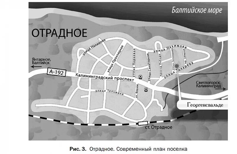 Калининград поселок Отрадное. Поселок Отрадное Светлогорск Калининградская область. Поселок Отрадное Калининградская область достопримечательности. Карта Светлогорска с улицами.