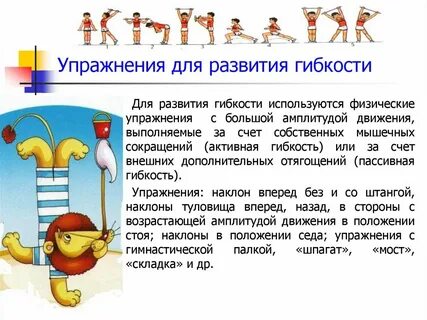Основные упражнения для развития гибкости