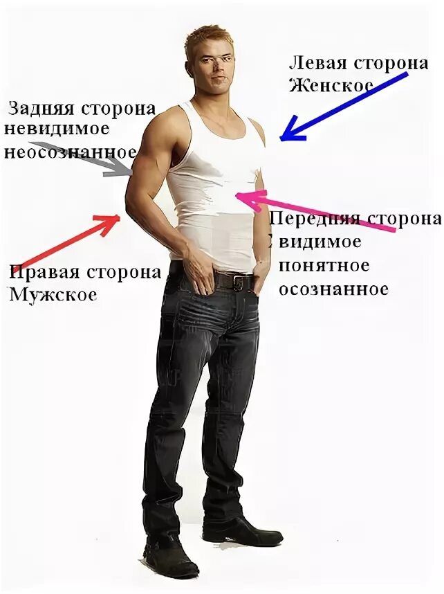 Левый мужчина. Права сторона тела мужская?. Левая сторона тела у мужчин. Правая сторона тела это мужская. Правая и левая сторона тела.