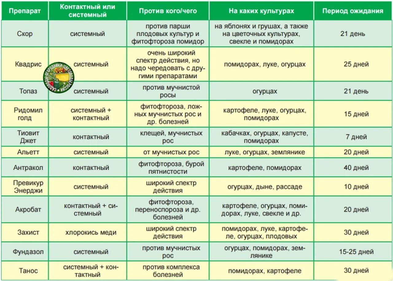 Огурцы после чего лучше. Препарат от болезней и вредителей растений. Таблица препаратов для обработки сада. Таблица совместимости препаратов для обработки растений. Совместимость препаратов для сада.