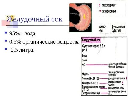 Соки для желудка