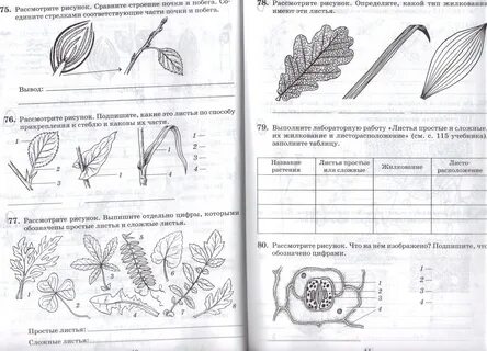 Лист заданий