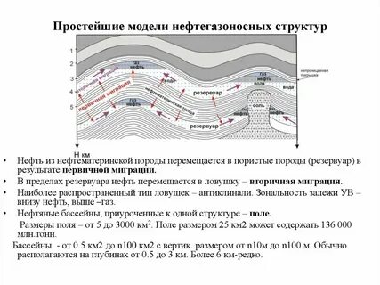 Породы нефти