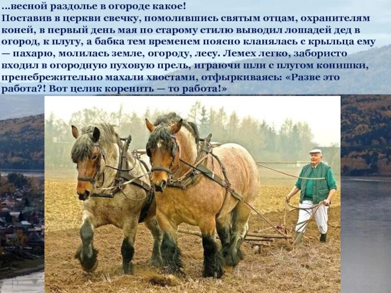 Обложка книги ода русскому огороду. Ода огороду читать. Ода огороду читать. Оды русскому огороду картина. Ода огороду читать.