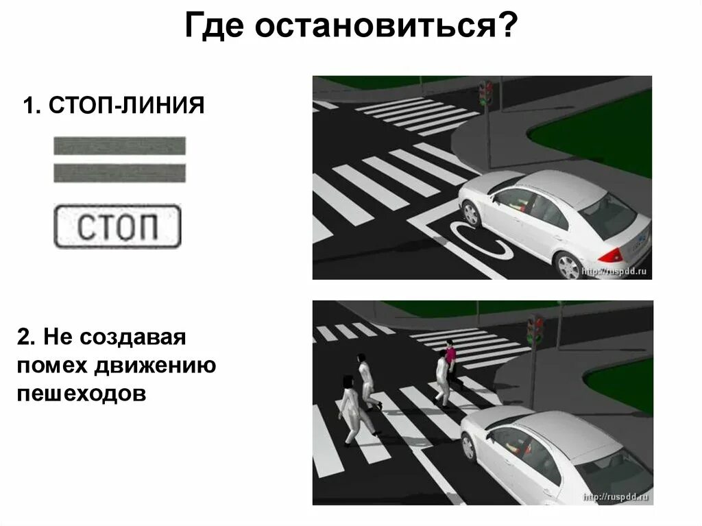 Запомни где остановилась. Стоп линия. Стоп линия ПДД. Остановиться у стоп линии. Знаки дорожной разметки стоп линия.