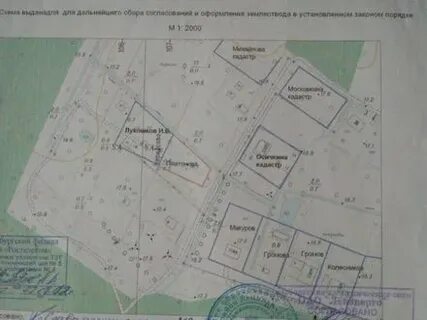 Кадастровый выборгский