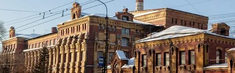 Кедр иркутск