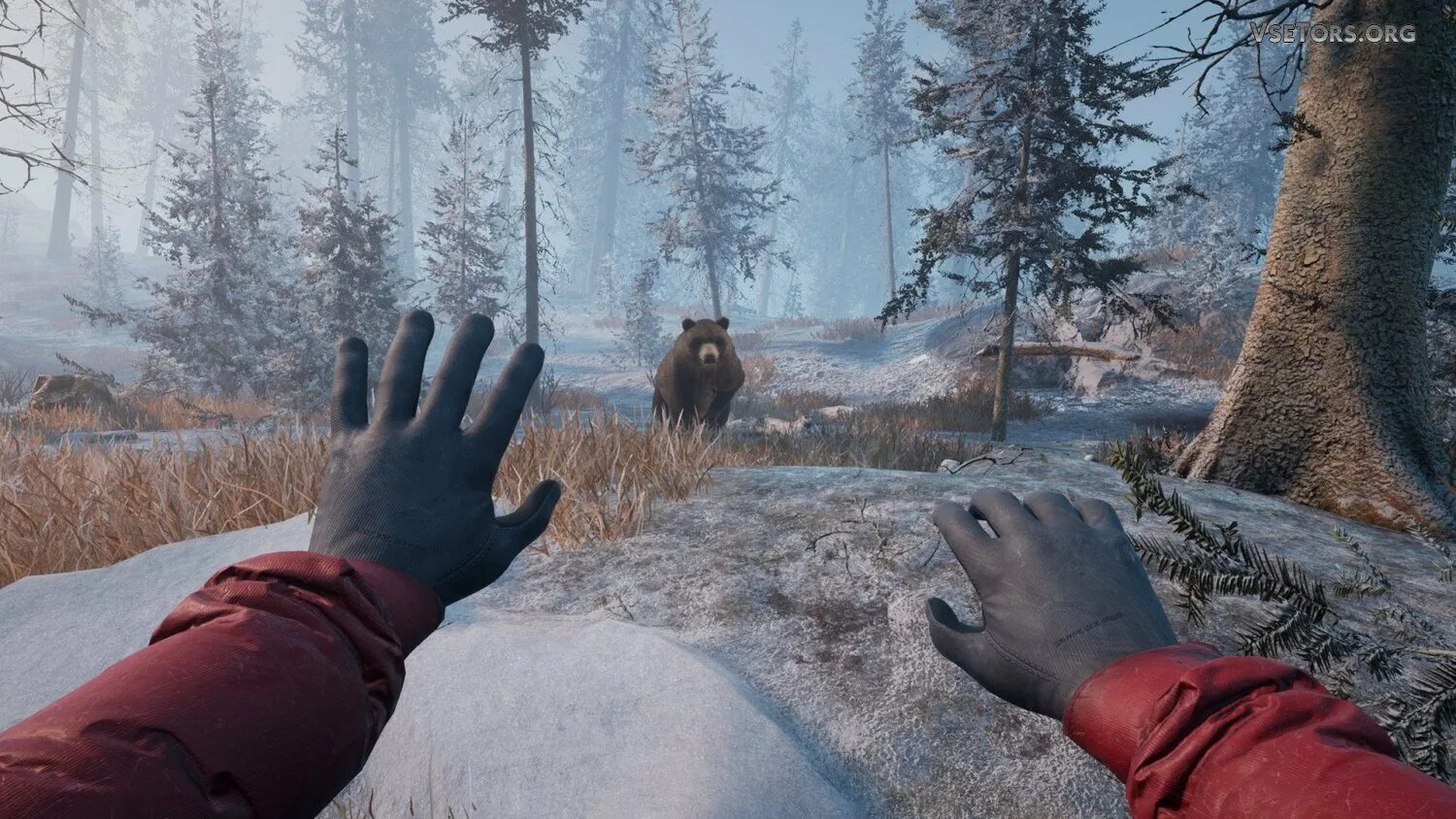 Зимние игры картинки. Project winter игра. Выживалка the long dark. Зимние игры на пк. Игры зимой.