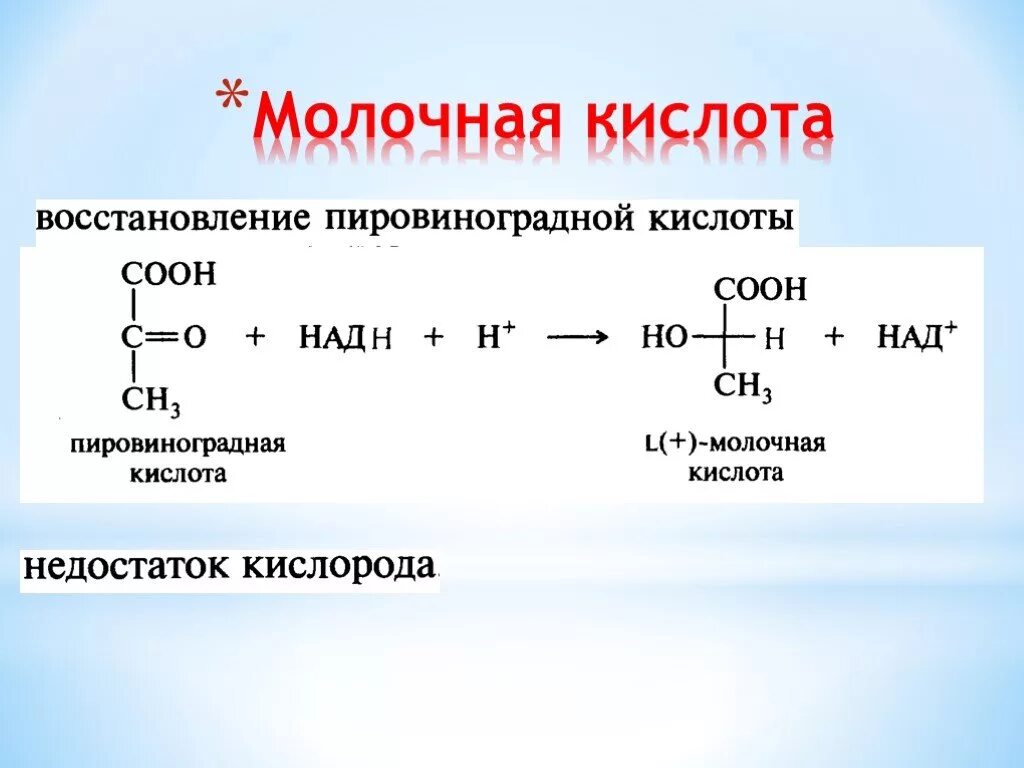 Молочная кислота муравьиная кислота. Восстановления пировиноградной кислоты в молочную кислоту. Молочная кислота восстановление ПВК. Пировиноградная и молочная кислота формулы. Реакция восстановления пировиноградной кислоты.