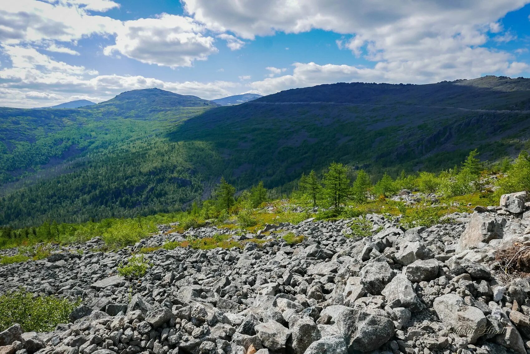 Курумник забайкалье. Курумник якутия. Курумы иремель. Курумник алтай. Курумник что это.