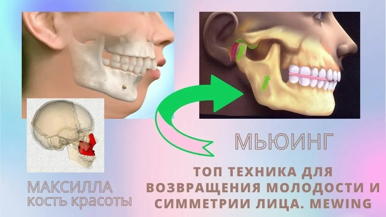 Упражнения для скул лица мужчинам. Мьюинг язык. Максилла мьюинг. Правильное положение языка. Мьюинг техника правильная.