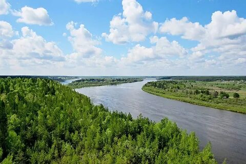 Ока рязанская