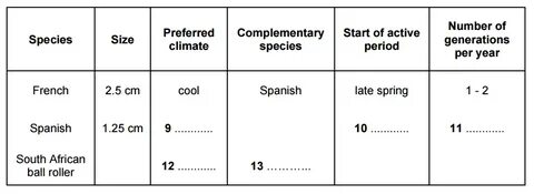 Which words from the table
