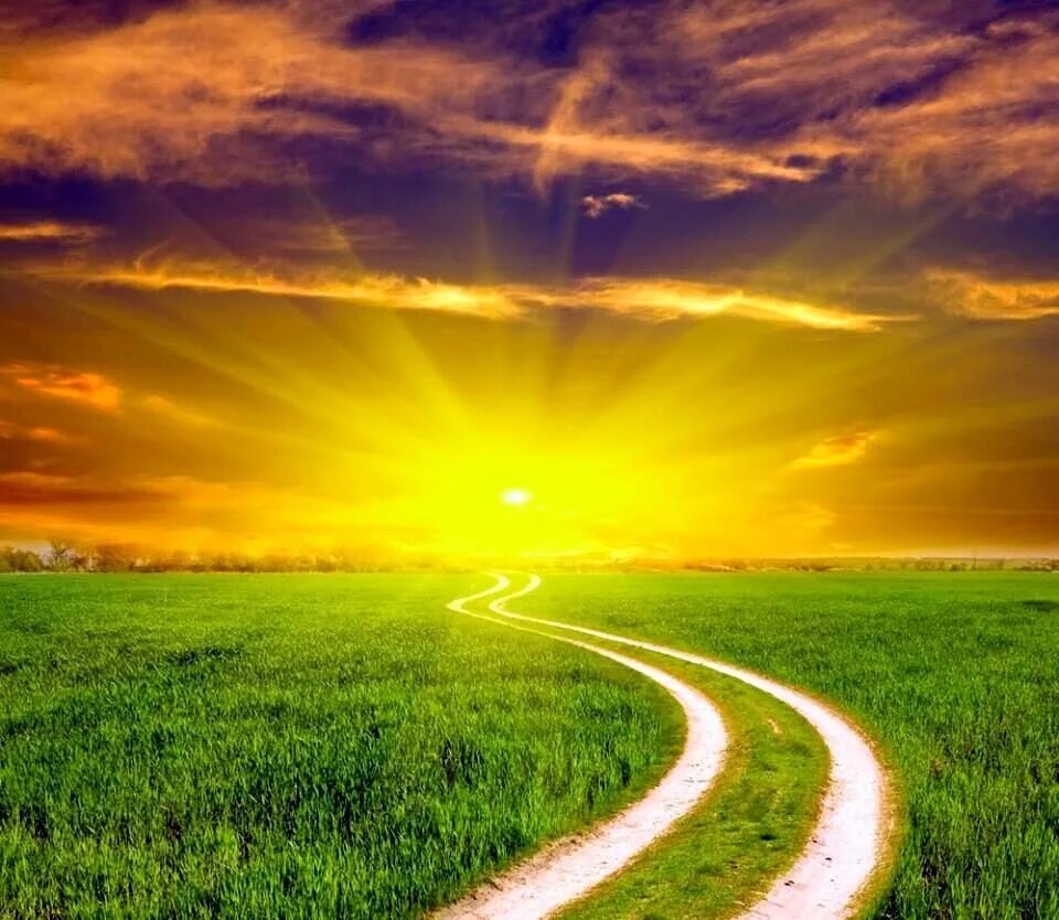 Солнце на дороге. Солнечная дорога. Красивая дорога и солнце. Тропинка к счастью. Зеленый свет жизни