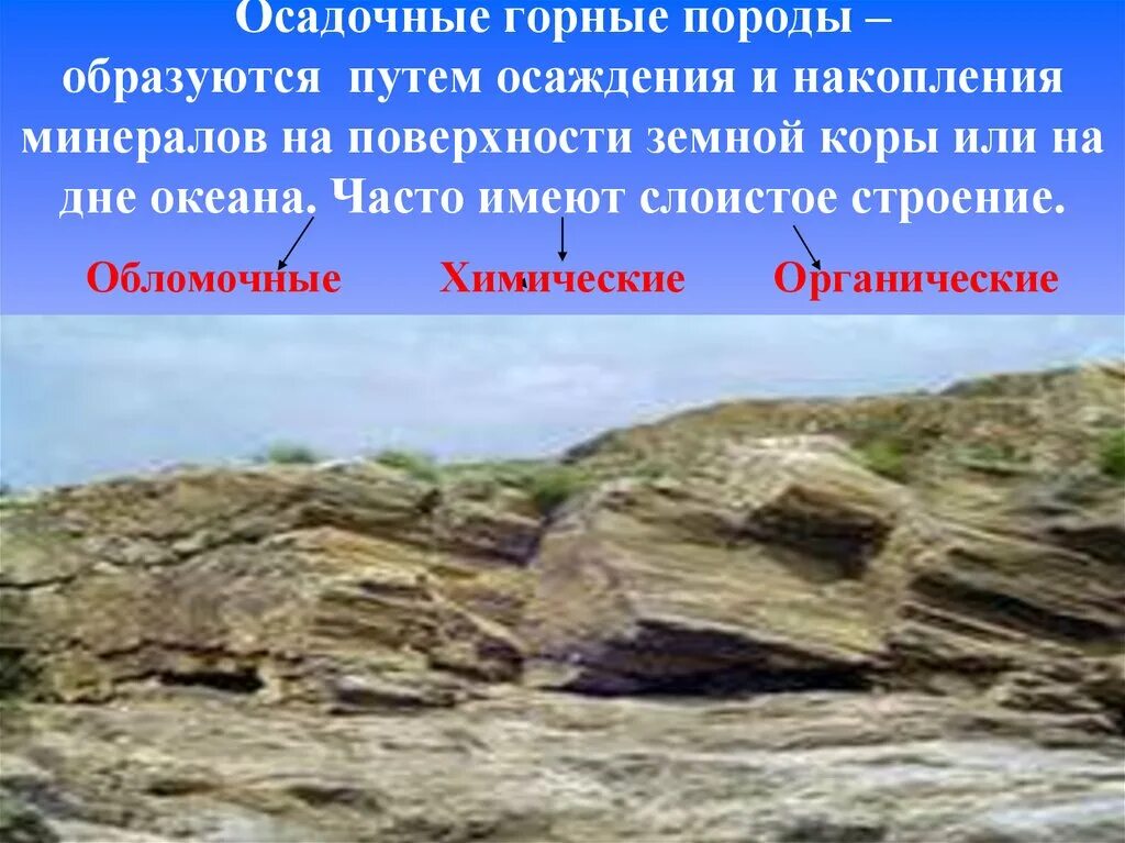 Осаждение горных пород. Осадочные органические горные породы. органические горные породы образуются. осадочные горные породы образовались из. осадочные химические горные породы.