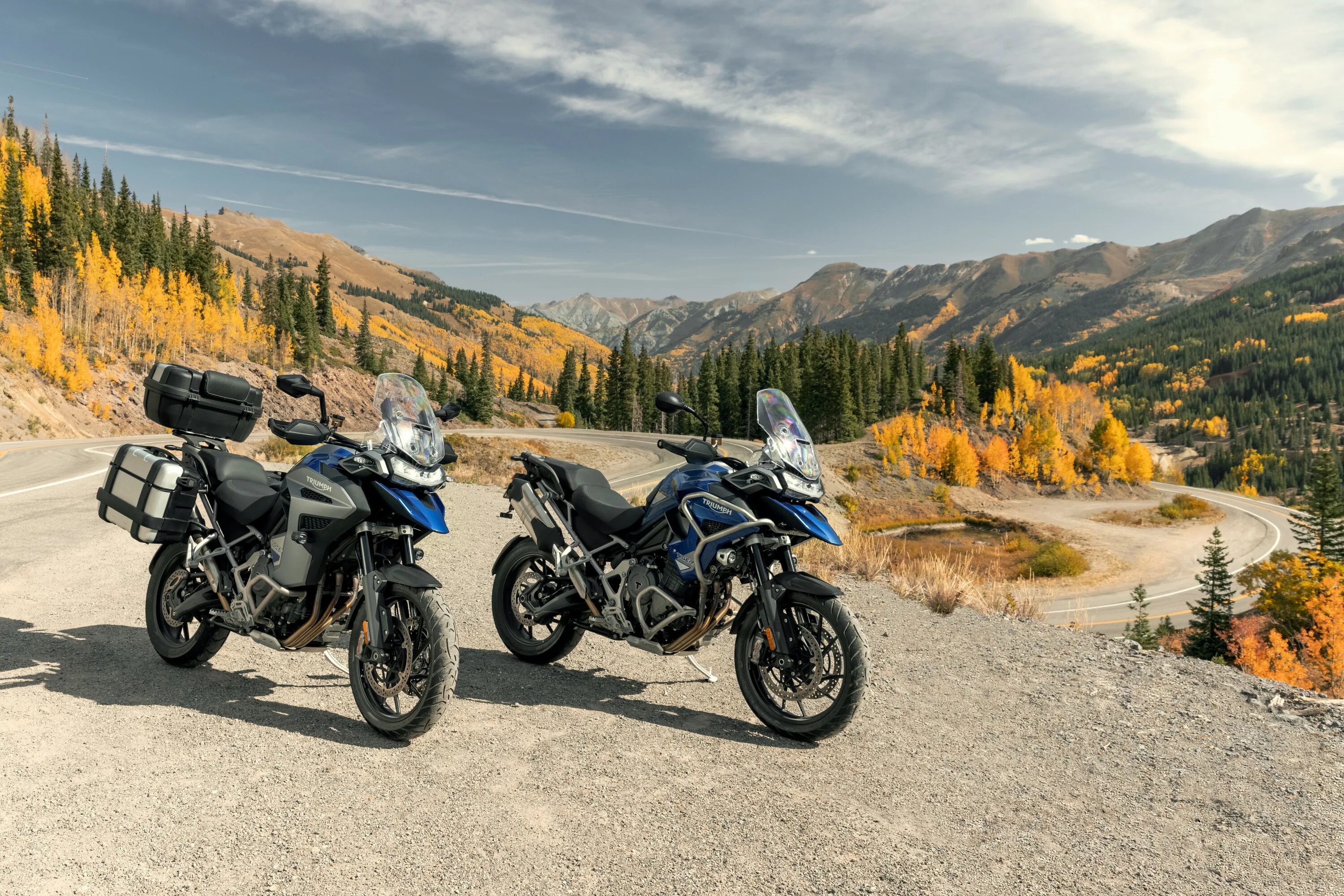 Triumph trident 2023. Triumph tiger 1200 2022. Triumph professional. Triumph professional. Triumph tiger 1200 2022.