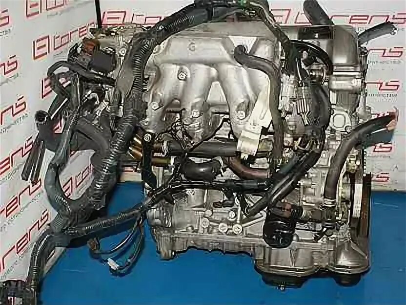Допуски масла для qg18de. Nissan primera p11 подкапотка. Масло sr20de. Nissan bluebird sr20det. Моторное масло qr20.