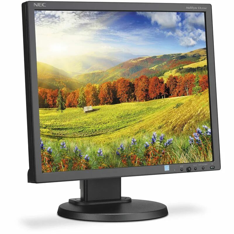 Монитор фото. Монитор NEC MULTISYNC ea193mi. Монитор 19", NEC ea193mi. Монитор NEC MULTISYNC lcd1570nx. Монитор 19 NEC LCD ea193mi-BK.