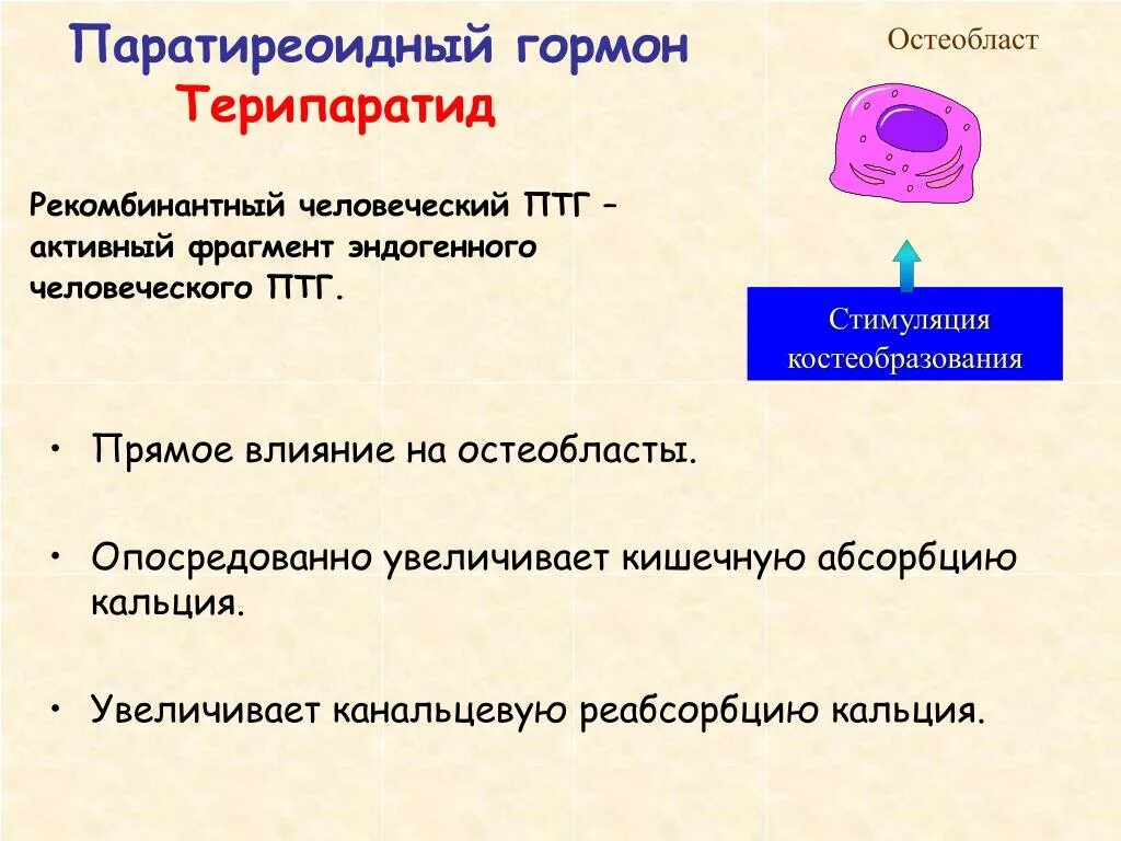 Интактный паратиреоидный гормон. Паратиреоидный гормон интактный норма. Паратирин гормон функции. Паратгормон функции гормона. Паратиреоидный гормон (паратгормон).