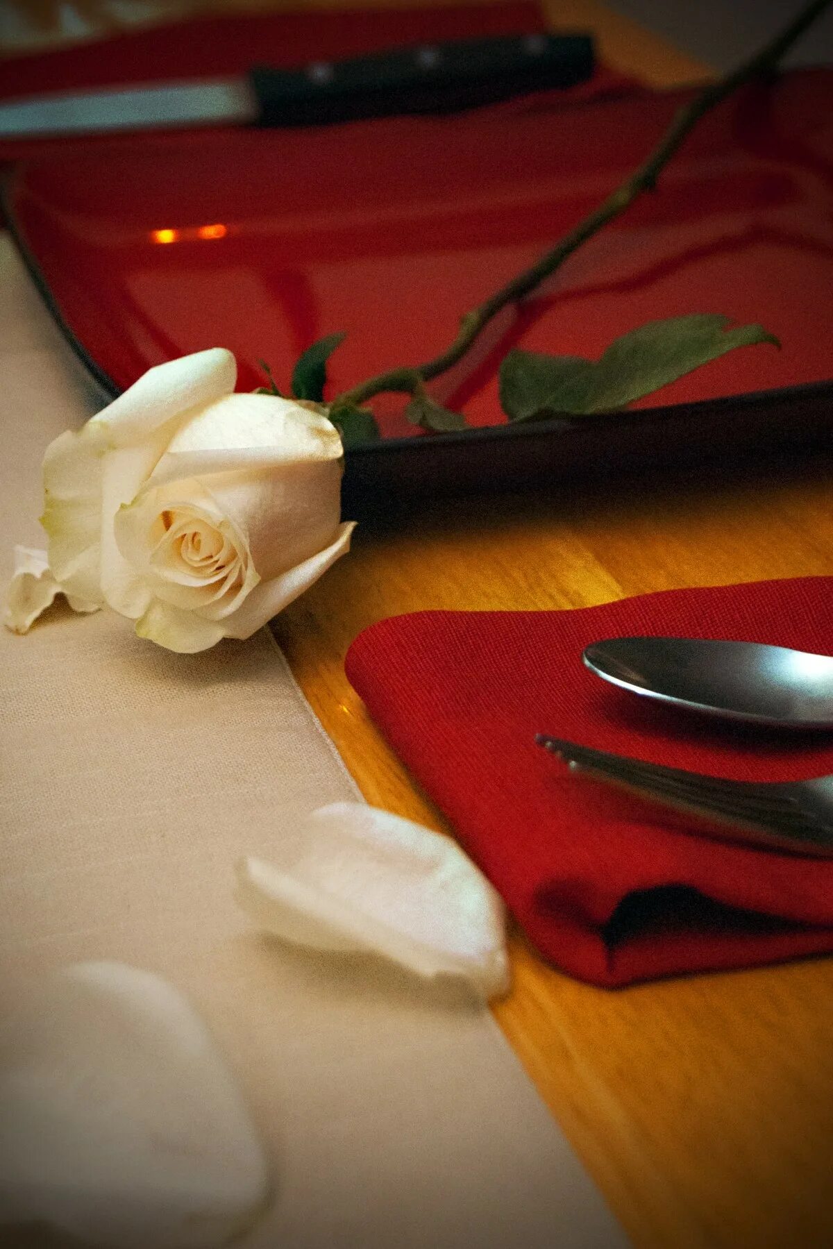 Романтичные цветы. Романтический цветочек. Романтические розы. Романтические цветы романтика. Rose romance