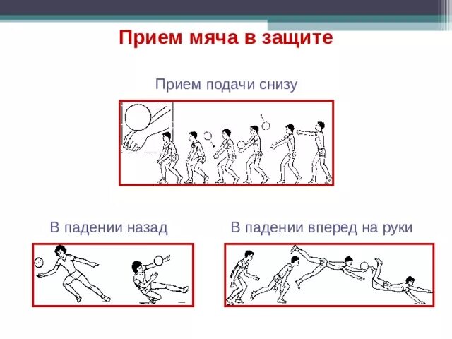 Положение рук в волейболе при приеме мяча снизу. Приём мяча снизу. Приём подачи. Положение рук при приеме мяча снизу. Положение рук при приеме мяча в волейболе.