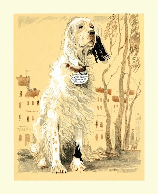 рисунок белый белый бим черное ухо. троепольский белый бим черное ухо читательский дневник. белый бим чёрное ухо рисунок карандашом. белый бим черное ухо. мультфильм белый бим.