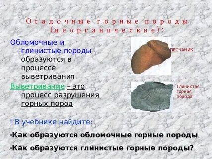 Горные породы образуют толщу земли верно или