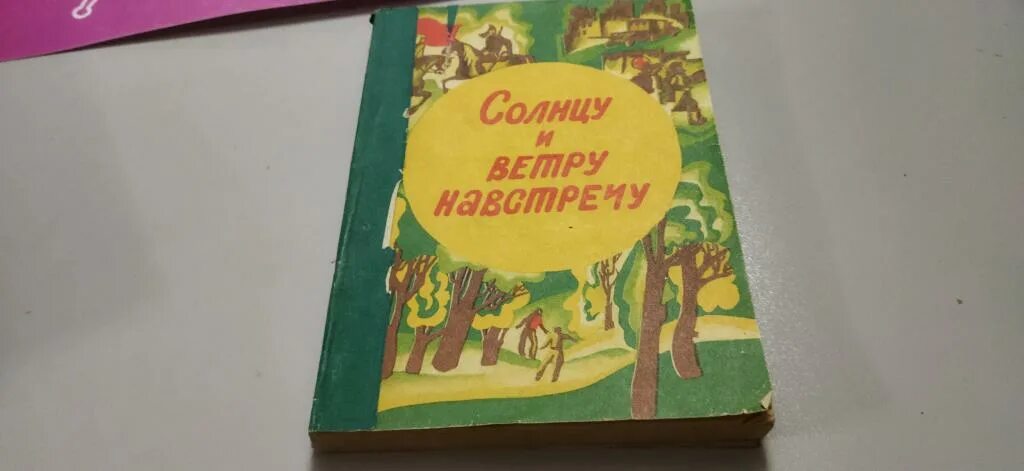 Та что стала солнцем книга. Ветер и солнце книга. Книга солнцу и ветру брат читать. Где-то в мире есть солнце книга. 1000 Солнц книга.