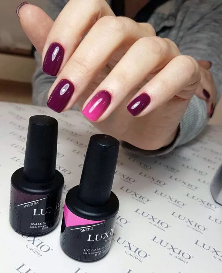 Luxio коллекция осень 2024. Luxio haute 213. Luxio 163 crave. Luxio коллекция paradiso новая. Luxio dolce 230.