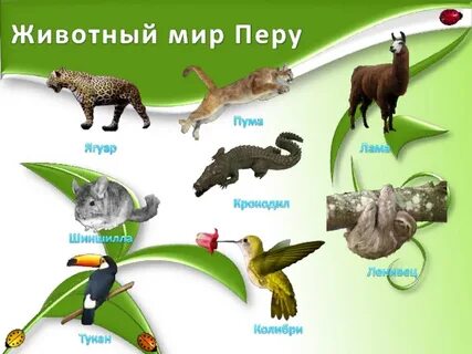 Пере мир