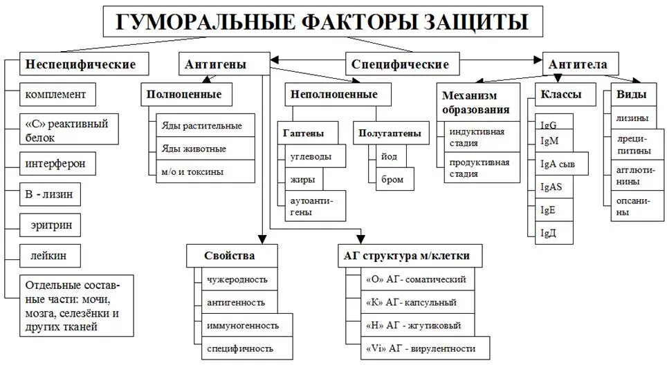 Факторы резистентности организма. Клеточные факторы неспецифической защиты схема. Гуморальные факторы неспецифического иммунитета. Гуморальные факторы неспецифической защиты. Клеточные и гуморальные факторы защиты схема.