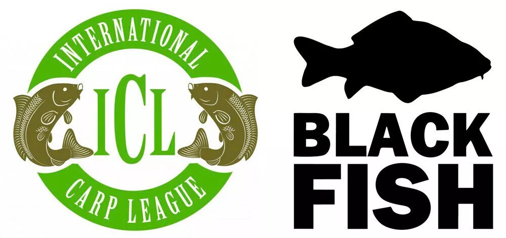 Fish интернет. Fish fish интернет магазин. магазин морепродуктов лого. олимп фиш рыба. рыбный маркет.