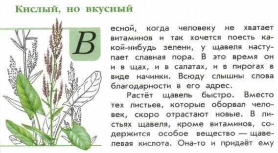 книга зеленые страницы кислый но вкусный. зеленые страницы тысячелистник. книга зеленые страницы кислый но вкусный. зеленые страницы рассказ тысячелистник или кислый но вкусный. книга зелёные страницы тысячелистник или кислый но вкусный.