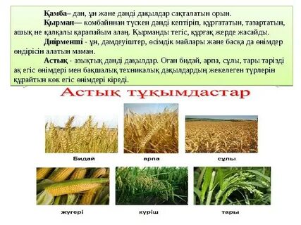 Ылғал клитордың макро суреті