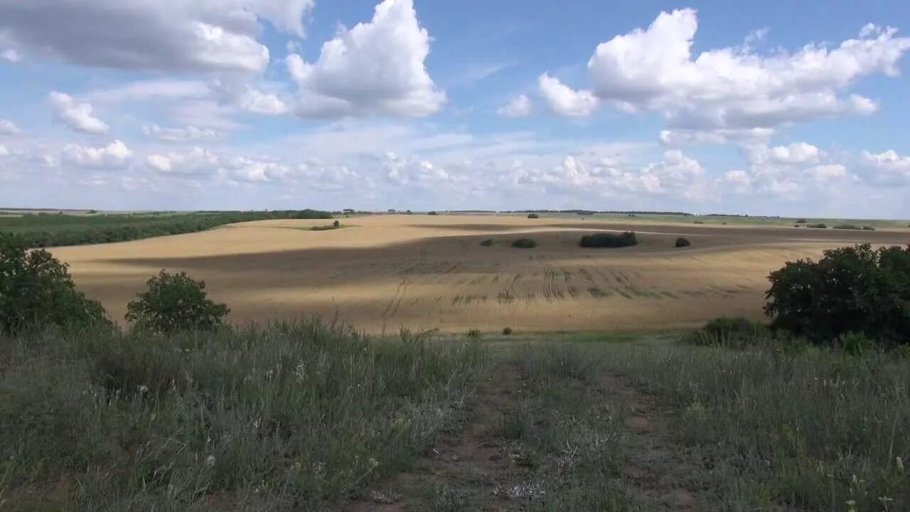 Широкая степь Раздольная. Алисовская степь. Степь Хопер. Ах ты степь. Ах ты степь широкая хор