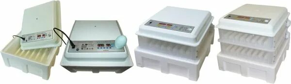 Инкубатор мс. Инкубатор мс 36. fk 64 инкубатор. мс 36 инкубатор ферма торг.