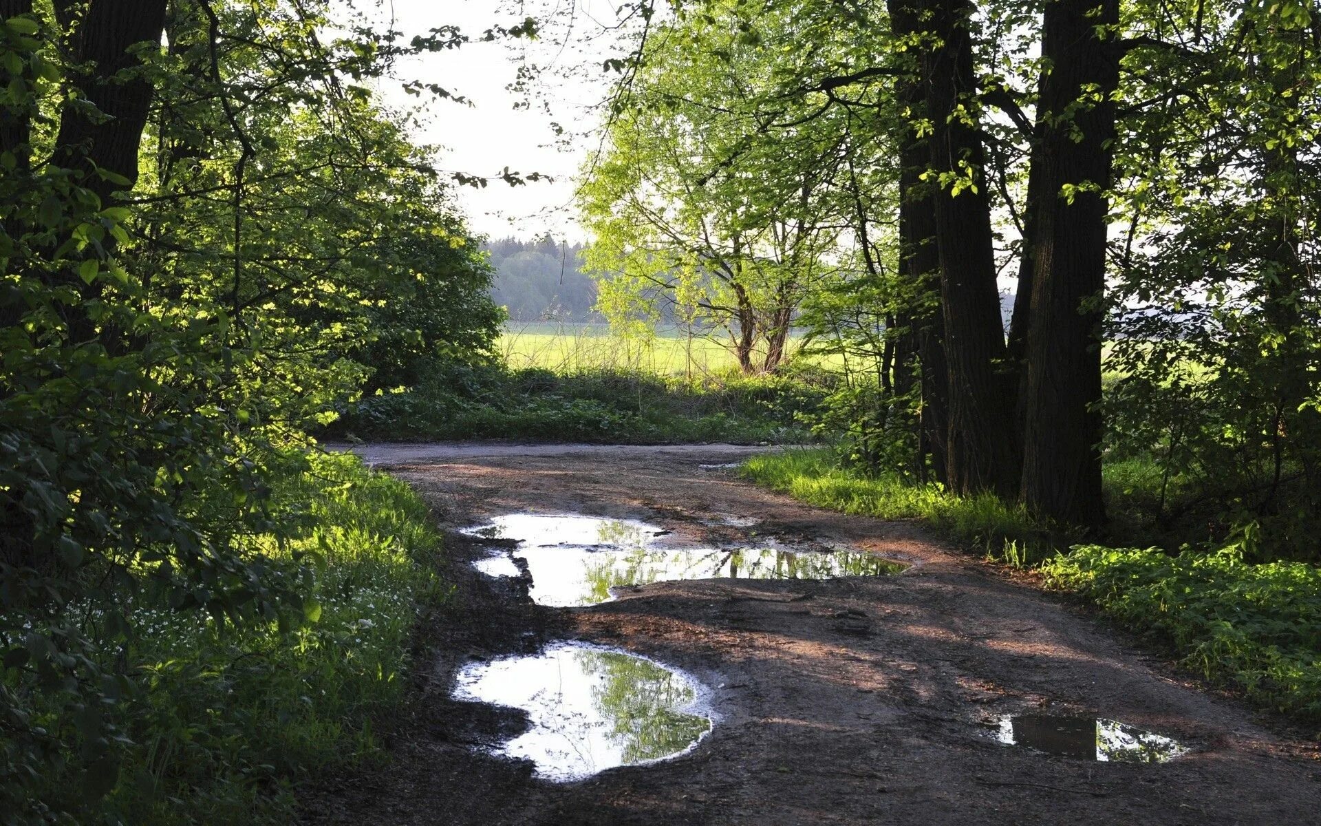 Path day