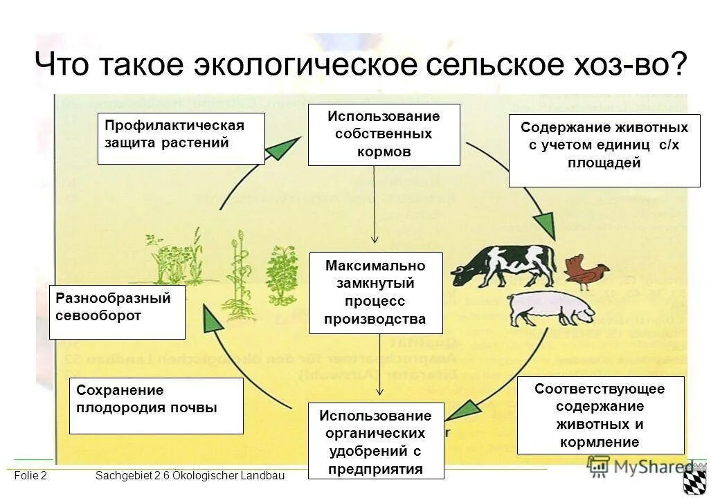 Составить сх. Влияние сельского хозяйства на окружающую среду. Экологические процессы. Влияние животноводства на окружающую среду. Экологическое сельское хозяйство.