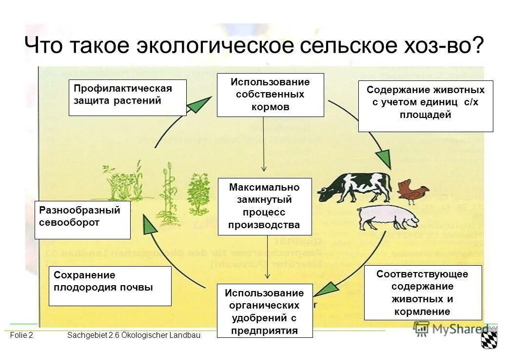 Воздействие сельского хозяйства на окружающую среду. Экологизация сельского хозяйства. влияние животноводства на окружающую среду. основные экологические проблемы сельского хозяйства. экологические процессы.