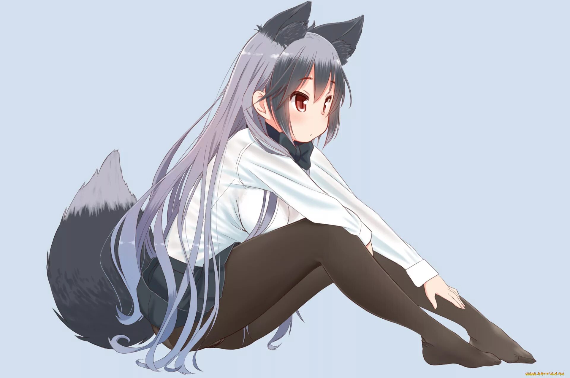 Shirogane Кицунэ. Silver Fox Kemono. Maru fox