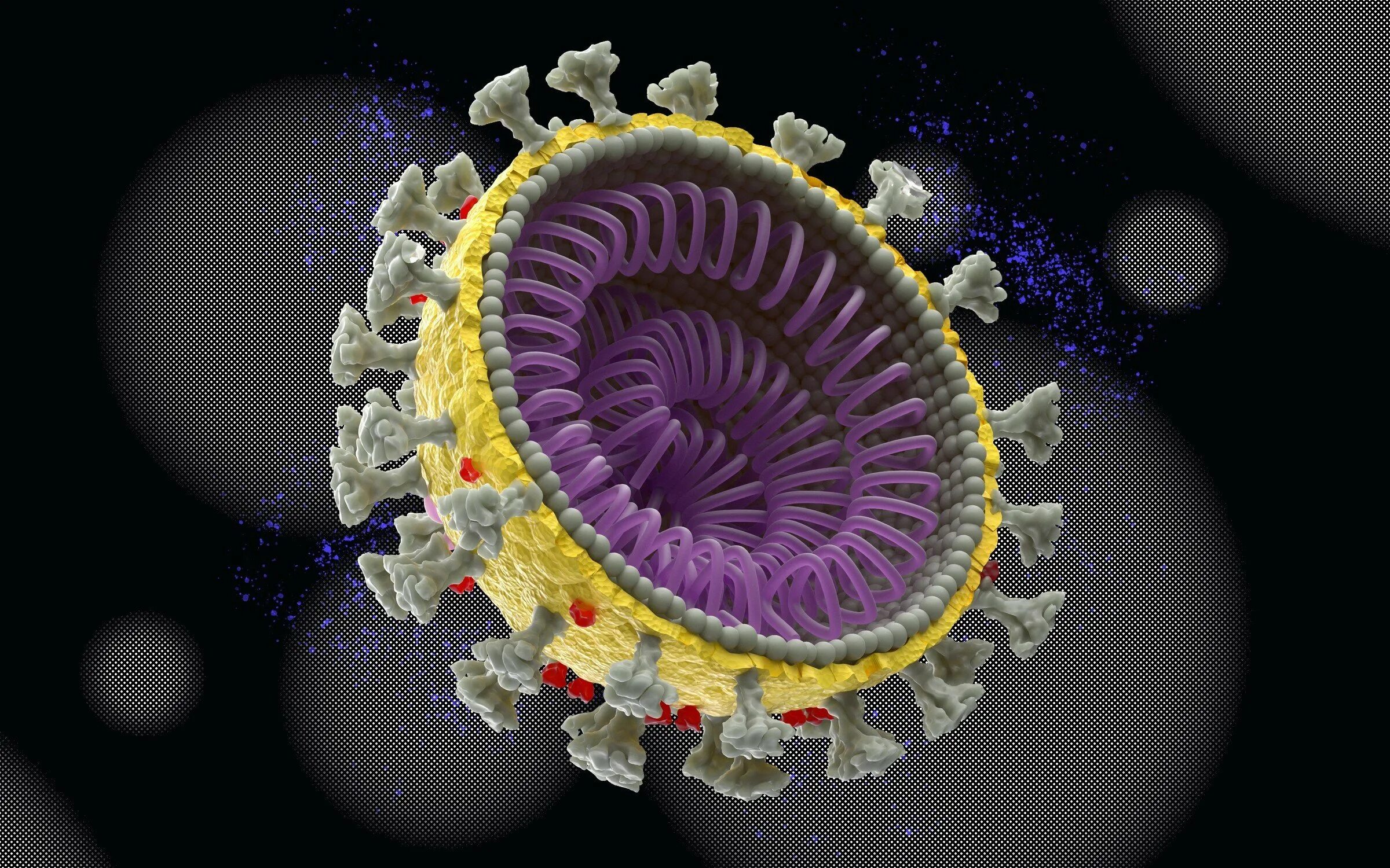 Коронавирус строение. Ворсинки коронавируса. Вирус ковид. Клетка коронавируса. 2 волна коронавируса