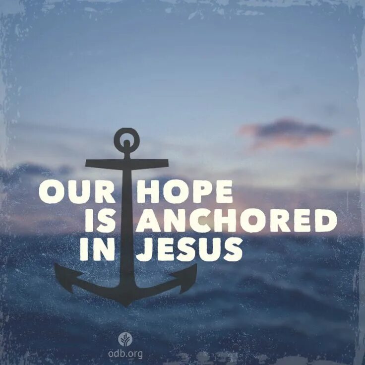 We hope our ship you. We hope our ship you. We hope our ship you. We hope our ship you. Hope фон.